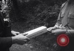 Immagine di Mercato nero Francoforte GERMANIA, 1946, secondo 48 filmato di repertorio 65675037250