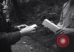 Immagine di Mercato nero Francoforte GERMANIA, 1946, secondo 50 filmato di repertorio 65675037250