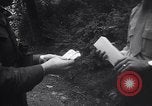 Immagine di Mercato nero Francoforte GERMANIA, 1946, secondo 51 filmato di repertorio 65675037250