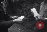 Immagine di Mercato nero Francoforte GERMANIA, 1946, secondo 52 filmato di repertorio 65675037250