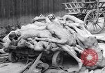 Immagine di La concentrazione e la morte camp Mauthausen Austria, 1945, secondo 23 filmato di repertorio 65675037255