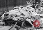 Immagine di La concentrazione e la morte camp Mauthausen Austria, 1945, secondo 25 filmato di repertorio 65675037255