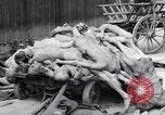 Immagine di La concentrazione e la morte camp Mauthausen Austria, 1945, secondo 26 filmato di repertorio 65675037255