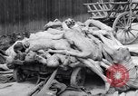 Immagine di La concentrazione e la morte camp Mauthausen Austria, 1945, secondo 27 filmato di repertorio 65675037255