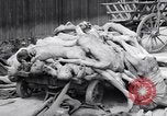 Immagine di La concentrazione e la morte camp Mauthausen Austria, 1945, secondo 28 filmato di repertorio 65675037255
