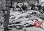 Immagine di La concentrazione e la morte camp Mauthausen Austria, 1945, secondo 37 filmato di repertorio 65675037255