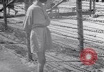 Image of concentration and death camp Mauthausen Austria, 1945, second 10 stock footage video 65675037256