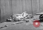 Image of concentration and death camp Mauthausen Austria, 1945, second 29 stock footage video 65675037256