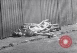 Image of concentration and death camp Mauthausen Austria, 1945, second 30 stock footage video 65675037256
