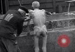 Image of Mauthausen concentration and death camp Mauthausen Austria, 1945, second 54 stock footage video 65675037257