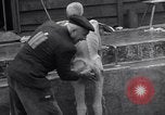 Image of Mauthausen concentration and death camp Mauthausen Austria, 1945, second 55 stock footage video 65675037257