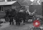 Image of Mauthausen concentration and death camp Mauthausen Austria, 1945, second 62 stock footage video 65675037257