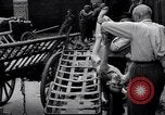 Image of concentration and death camp Mauthausen Austria, 1945, second 15 stock footage video 65675037261