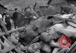 Image of concentration and death camp Mauthausen Austria, 1945, second 57 stock footage video 65675037261