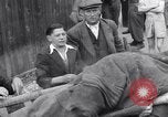 Image of concentration and death camp Mauthausen Austria, 1945, second 59 stock footage video 65675037261