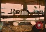 Standbild diverse Geschäfte am Markt Vietnam, 1967, aus Sekunde 13 historischem Filmmaterial Videoclip 65675037263