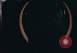 Image of signboards of various shops and services Saigon Vietnam, 1967, second 26 stock footage video 65675037265