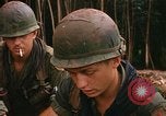 Immagine di US Army 1 soldati di fanteria Vietnam del Sud, 1967, secondo 59 filmato di repertorio 65675037279