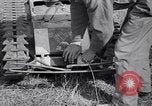 Image of Goliath tracked mine Germany, 1945, second 54 stock footage video 65675037281