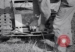 Image of Goliath tracked mine Germany, 1945, second 55 stock footage video 65675037281