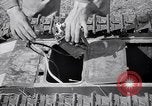 Image of Goliath tracked mine Germany, 1945, second 57 stock footage video 65675037281