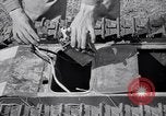 Image of Goliath tracked mine Germany, 1945, second 58 stock footage video 65675037281