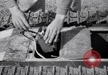 Image of Goliath tracked mine Germany, 1945, second 59 stock footage video 65675037281