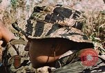 Image des soldats dans la jungle Lai Khe Sud Vietnam, 1968, de la seconde 24 séquences d'archives historiques vidéo 65675037287