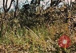 Image des soldats dans la jungle Lai Khe Sud Vietnam, 1968, de la seconde 32 séquences d'archives historiques vidéo 65675037287