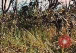Image des soldats dans la jungle Lai Khe Sud Vietnam, 1968, de la seconde 37 séquences d'archives historiques vidéo 65675037287