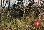 Image des soldats dans la jungle Lai Khe Sud Vietnam, 1968, de la seconde 40 séquences d'archives historiques vidéo 65675037287
