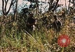 Image des soldats dans la jungle Lai Khe Sud Vietnam, 1968, de la seconde 41 séquences d'archives historiques vidéo 65675037287