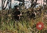 Image des soldats dans la jungle Lai Khe Sud Vietnam, 1968, de la seconde 42 séquences d'archives historiques vidéo 65675037287