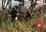 Image des soldats dans la jungle Lai Khe Sud Vietnam, 1968, de la seconde 43 séquences d'archives historiques vidéo 65675037287