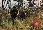 Image des soldats dans la jungle Lai Khe Sud Vietnam, 1968, de la seconde 44 séquences d'archives historiques vidéo 65675037287