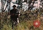 Image des soldats dans la jungle Lai Khe Sud Vietnam, 1968, de la seconde 46 séquences d'archives historiques vidéo 65675037287