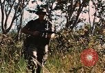 Image des soldats dans la jungle Lai Khe Sud Vietnam, 1968, de la seconde 48 séquences d'archives historiques vidéo 65675037287