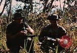 Image des soldats dans la jungle Lai Khe Sud Vietnam, 1968, de la seconde 56 séquences d'archives historiques vidéo 65675037287