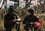 Image des soldats dans la jungle Lai Khe Sud Vietnam, 1968, de la seconde 57 séquences d'archives historiques vidéo 65675037287