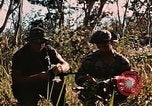 Image des soldats dans la jungle Lai Khe Sud Vietnam, 1968, de la seconde 58 séquences d'archives historiques vidéo 65675037287