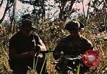 Image des soldats dans la jungle Lai Khe Sud Vietnam, 1968, de la seconde 59 séquences d'archives historiques vidéo 65675037287