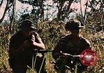 Image des soldats dans la jungle Lai Khe Sud Vietnam, 1968, de la seconde 60 séquences d'archives historiques vidéo 65675037287