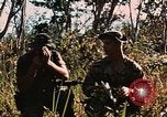 Image des soldats dans la jungle Lai Khe Sud Vietnam, 1968, de la seconde 62 séquences d'archives historiques vidéo 65675037287