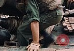 Image des soldats dans le casque de pétroliers Lai Khe Sud Vietnam, 1968, de la seconde 49 séquences d'archives historiques vidéo 65675037289