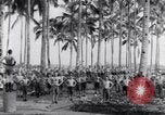 Image of British prisoners of war Pacific theater, 1941, second 25 stock footage video 65675037307