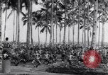Image of British prisoners of war Pacific theater, 1941, second 26 stock footage video 65675037307