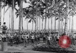 Image of British prisoners of war Pacific theater, 1941, second 29 stock footage video 65675037307