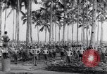 Image of British prisoners of war Pacific theater, 1941, second 31 stock footage video 65675037307
