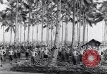 Image of British prisoners of war Pacific theater, 1941, second 35 stock footage video 65675037307