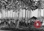 Image of British prisoners of war Pacific theater, 1941, second 36 stock footage video 65675037307